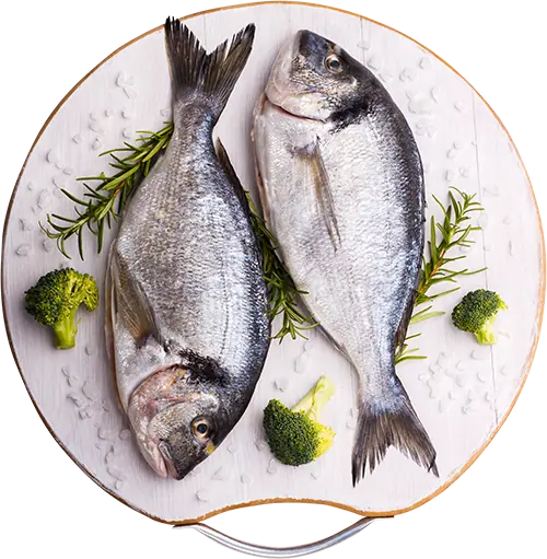Seafoods