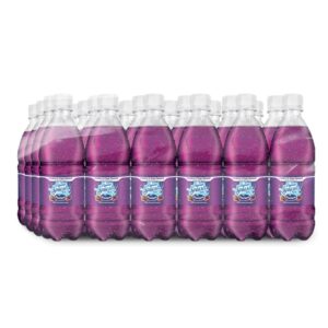Ocean Spray Flavour Splash Cranberry and Grape Flavored Water 24 Units / 591 mL