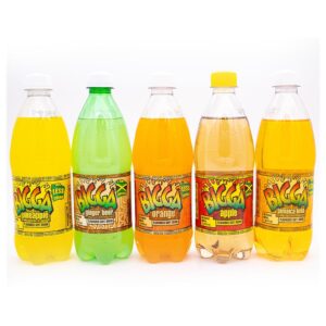 Bigga Assorted Sodas 24 Units / 600 mL / 20 oz