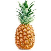 429f8156794f2326528843113d0ebcbf06cb0aab_FruitsandVegetables_215254_01.jpg