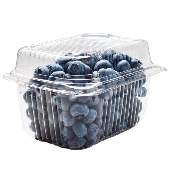 Blueberries 508 g / 1.12 lb