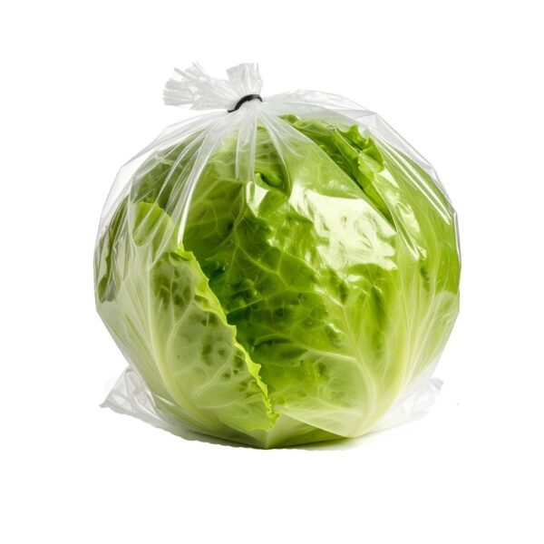 Iceberg Lettuce 700 g / 1.5 lb
