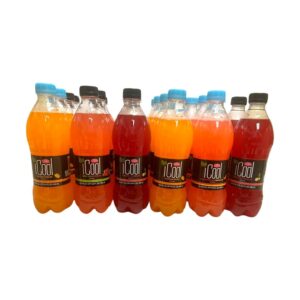 iCool Assorted Juice Drink 24 units / 500 mL / 17 oz