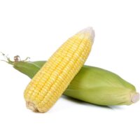 e32f64b7eace91f12557a1ca9c4d5178b65cbc49_FruitsandVegetables_317598_01.jpg
